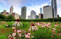 芝加哥伊利诺斯州天际线lurie花园