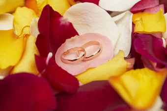 婚礼背景婚礼环粉红色的花瓣玫瑰