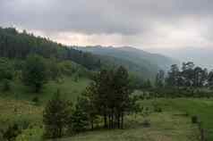 低云森林兹拉蒂博尔山区域塞尔维亚