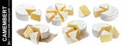 质奶酪孤立的白色背景剪裁路径大集合