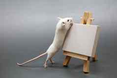 鼠标艺术家