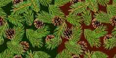 冷杉树分支机构无缝的模式松分支圣诞节针叶树背景