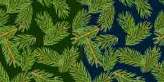 冷杉树分支机构无缝的模式松分支圣诞节针叶树孤立的绿色背景