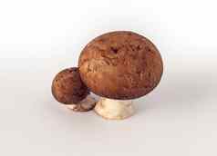 食用香草蘑菇棕色（的）帽