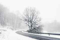 孤独的树高速公路曲线冬天