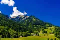 山梅多斯森林蓝色的天空darstetten伯尔尼瑞士
