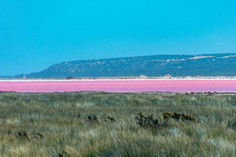 粉红色的湖西方澳大利亚格雷戈里呈现不清晰的<strong>海市蜃楼</strong>