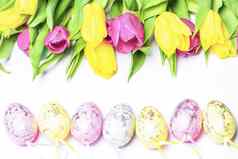 新鲜的郁金香白色背景彩色的复活节鸡蛋快乐复活节