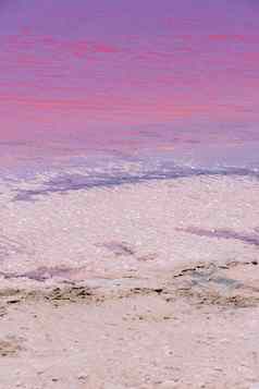 盐晶体粉红色的水海滩粉红色的湖格雷戈里西方澳大利亚