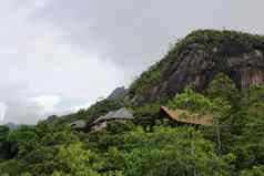 山景观绿色热带树山山坡上