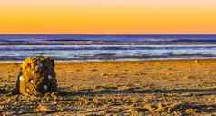 小沙塔装饰贝壳海滩日落美丽的蓝色的海洋色彩斑斓的天空