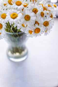 花束白色雏菊花瓶窗口白色