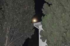 月亮完整的月亮照柏树树晚上