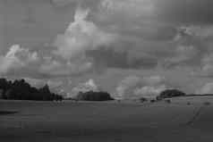 黑色的白色景观照片树场天空德国