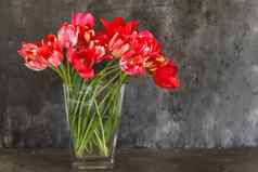 花束红色的郁金香透明的花瓶黑暗背景