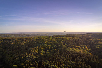 混合树福勒斯特覆盖山艾弗尔地区德国设置阳光