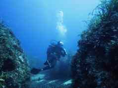 潜水员潜水放松岩石覆盖藻类