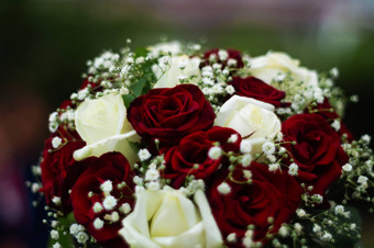 花束玫瑰新娘手星期三细节特写镜头查看方式模糊背景庄严的事件