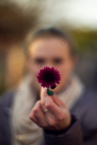 漂亮的年轻的女孩持有黑<strong>暗紫色</strong>的花前面女孩散焦软焦点手