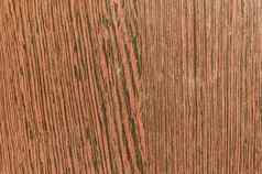 棕色（的）彩色的自然木董事会变形地板背景表面松木设计装饰工作室拍摄复制空间房间添加文本工作设计背景产品