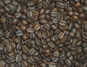 烤咖啡豆子密集的背景图片特写镜头