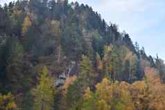 美丽的风景的观点雄伟的阿尔泰山图片秋天一天