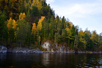 东岩石海岸湖特列茨科耶悬崖覆盖美丽的森林图片秋天一天