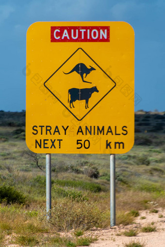谨慎流浪动物路标志澳大利亚