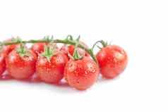 新鲜的有机湿樱桃西红柿群