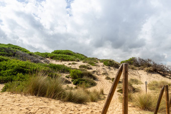 美妙的沙丘景观爱定mesquida马略卡岛西班牙