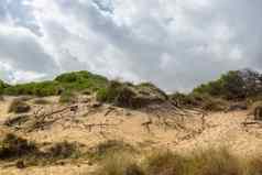 美妙的沙丘景观爱定mesquida马略卡岛西班牙