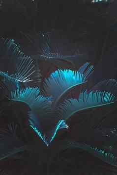 超现实主义的摘要蓝色的发光马略卡岛流行风扇棕榈