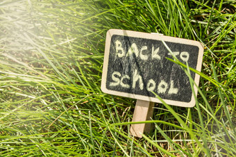 阳光瀑布绿色草黑色的董事会登记回来学校概念教育培训老师的一天