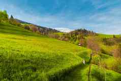 景观绿色山塞里纳谷山