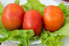 西红柿生菜健康的食物概念重量损失