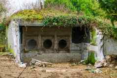 拆除建筑屋顶覆盖草植物