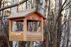 彼得堡俄罗斯11月鸟给料机形状房子分支冬天森林