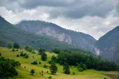 美丽的山河塔拉峡谷Durmitor国家公园黑山共和国巴尔干半岛欧洲