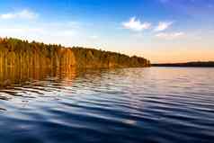 森林海岸湖日落太阳光