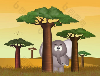 大象戏剧猴面包树