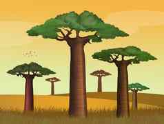 Baobab树日落