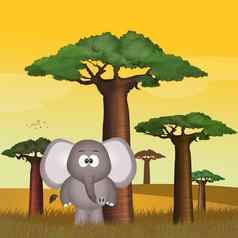 插图Baobab大象