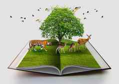 野生动物保护老虎鹿鸟环境书自然孤立的白色开放书纸回收呈现书自然草树增长白色背景