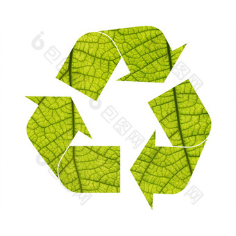 插图回收象征绿色树叶