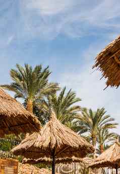 稻草海滩雨伞棕榈树明亮的蓝色的天空