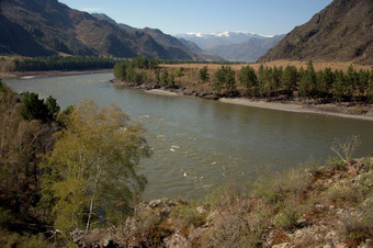 斯威夫特棉河携带绿松石水域阿尔泰山西伯利亚阿尔泰俄罗斯