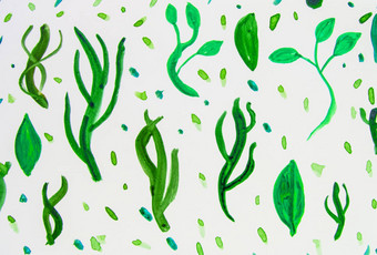 水彩插图集植物元素草植物叶子绿色分支机构白色背景