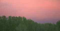 积云云画粉红色的日落背景绿色森林景观