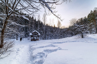 白雪覆盖的森林路径露台