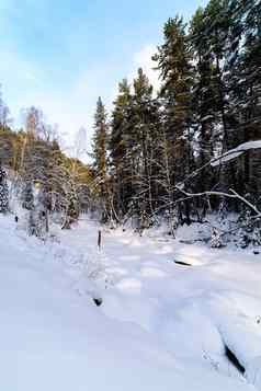 白雪覆盖的床上冻河森林